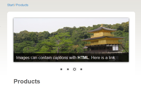 Nivo Slider with bullets for navigation and a caption with HTML.
