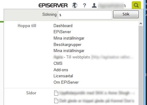 EPiServer global menu search.